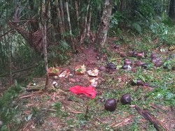 Pria-Wanita Tewas Minum Obat Rumput di Gianyar Diduga Pasangan Selingkuh