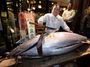 Pecahkan Rekor Dunia! Tuna 243 Kg Ini Terjual Seharga Rp55 Miliar