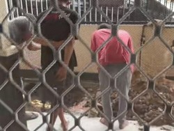 Kronologi Penemuan Batu Bara Saat Gali Lubang Septic Tank Rumah Warga Kaltim