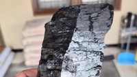 Warga Kaltim Temukan Batu Bara Saat Gali Halaman untuk Septic Tank