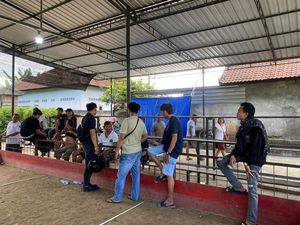 Polisi Gerebek Arena Sabung Ayam di Lombok Barat, Para Penjudi Tak Ditangkap