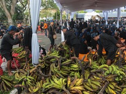 Pelajaran Kedaulatan Pangan dari Masyarakat Baduy