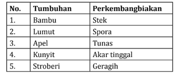 tabel