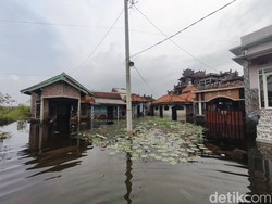Keluh Kesah Warga Sayung Kidul Demak Kampungnya 5 Bulan Terendam Banjir