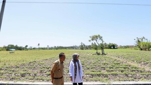 Pemkab Banyuwangi Bentuk Satgas Antisipasi Kemarau Panjang Siaga El Nino
