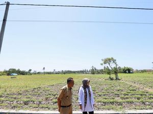 Pemkab Banyuwangi Bentuk Satgas Antisipasi Kemarau Panjang Siaga El Nino