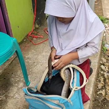 Meisa namalain Caca bermain dengan ular.