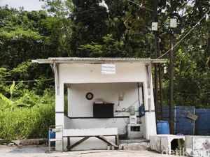 Kawanan Monyet Kembali Teror Permukiman Sukorejo Semarang