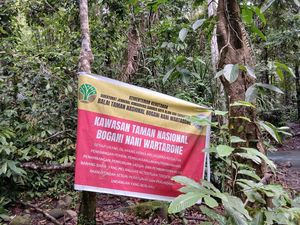 Tips Aman Jalan Kaki di Tengah Hutan Belantara Sulawesi