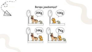 Permainan Gambar Ini Bisa Bikin Kepala Cenat-cenut, Si Ahli Matematika Boleh Maju