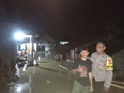 18 Rumah Terendam Banjir di Jembrana, Motor-Sapi Hanyut