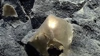 Misteri 'Bola Emas' Misterius di Dasar Laut Akhirnya Terbongkar