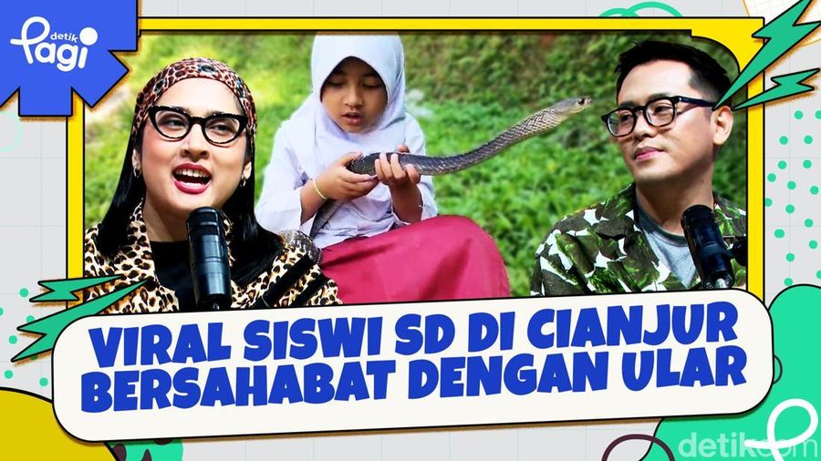 Video Viral Siswi SD di Cianjur Bersahabat dengan Ular 