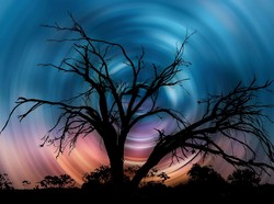 24 Pohon Keramat dalam Budaya jawa, Ada yang Bisa Mengalahkan Orang Kebal!