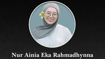 Makanan Kucing Terakhir dari Aini