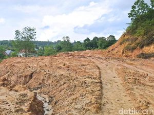 Niat Belokkan Air Lumpur, Warga di Tarakan Malah Babat Hutan Lindung