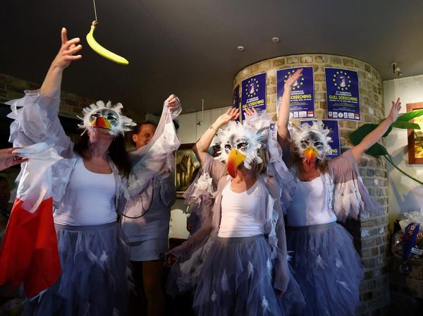 Lomba Unik Tiru Burung Camar, Aksi Peserta Bikin Heboh