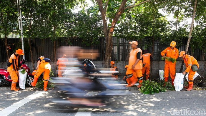 Aksi Petugas PPSU Menyulap Sampah Dari Selokan ke Rupiah Sejumlah petugas Penanganan Prasarana dan Sarana Umum (PPSU) mengangkut sampah di area Tomang, Jakarta, Rabu (29/4/2026).
Sebanyak 50 petugas dikerahkan setiap operasi untuk membersihkan selokan nan berada di lingkungan Tomang.