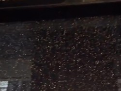 Bus Sinar Muda Tujuan Toraja Dilempari OTK Pakai Batu di Enrekang