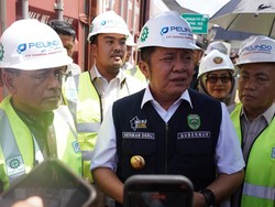 Sumsel Ekspor Kelapa-Lada ke China dan Taiwan, Nilai Rp 1,6 Miliar