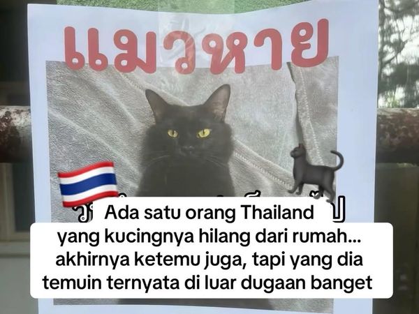 Orang Ini Kucingnya Hilang, Pas Ketemu Ada Banyak Kejanggalan