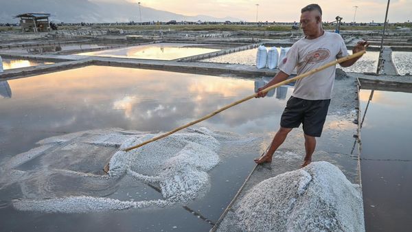 Panen Garam Kembali Bergeliat di Palu
