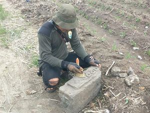 Dikira Patok Tanah, Batu Berelief Tahun 1326 Saka Ditemukan di Nganjuk