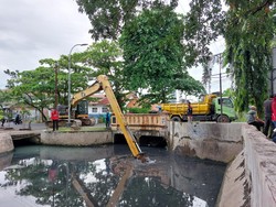 Walkot Agustina Gercep Perbaiki Jalan Rusak: Setiap Laporan Jadi Prioritas