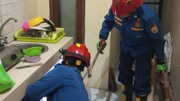 Malam-malam Damkar Ciamis Terima Laporan Tak Biasa, Diminta Evakuasi Katak
