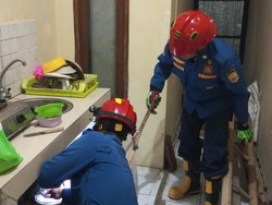 Malam-malam Damkar Ciamis Terima Laporan Tak Biasa, Diminta Evakuasi Katak