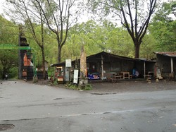 10 Anjing Liar di Desa Batur Tengah Disuntik Mati Buntut Balita Tewas