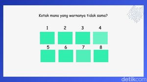 Bisa Selesaikan Permainan Gambar Ini Tanpa Ubah Brightness? Tandanya Mata Sehat