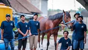 Tentang Blue Blood Stable, Salah Satu Penghasil Kuda Pacuan Terbaik RI