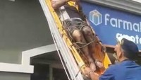 Momen Damkar Evakuasi Penghuni Apartemen di Tanjung Duren yang Terjebak