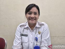 Provinsi Jambi Terima 12 Sapi Kurban Berbobot Jumbo dari Presiden Prabowo Subianto