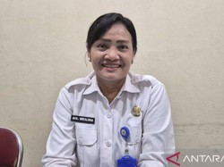 Provinsi Jambi Terima 12 Sapi Kurban Berbobot Jumbo dari Presiden Prabowo Subianto