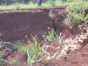 Sinkhole Lebar 10 Meter Muncul di Girisubo Gunungkidul