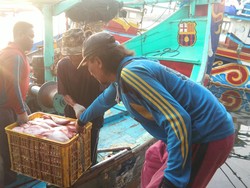 KKP Sambut Baik Perpres ILO 188, Langkah Kongkret Lindungi Awak Kapal Ikan