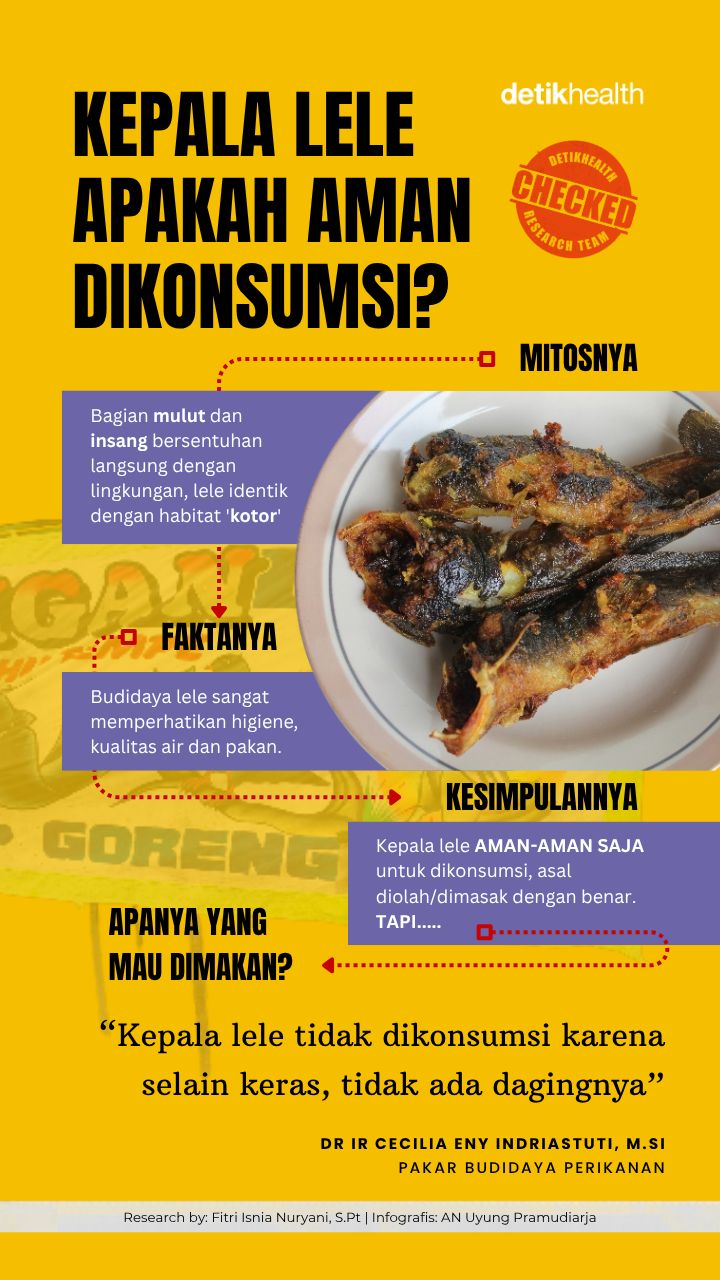  Amankah Mengonsumsi Kepala Ikan Lele?
