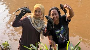 Ria Ricis Nyebur ke Kali Ciliwung Buat Tangkap Ikan Sapu-sapu
