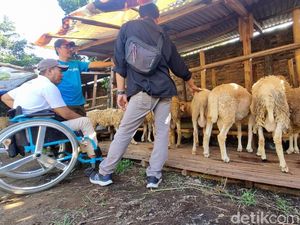 Tak Lagi Pekerjakan SPG, Pedagang Kurban di Bantul Kini Gandeng Difabel