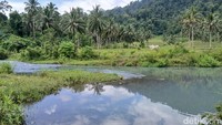 Swiss Van Indonesia! Pesona Sungai Binuanga yang Airnya Biru Jernih