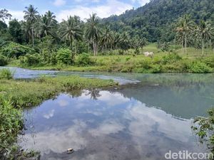 Swiss Van Indonesia! Pesona Sungai Binuanga yang Airnya Biru Jernih