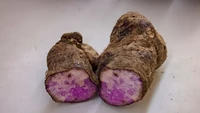 Lagi Hits! Konsumsi Ube Ternyata Punya 5 Manfaat Sehat buat Tubuh