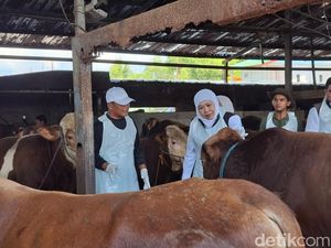 Stok Hewan Kurban Jatim Surplus, Siap Suplai Provinsi Lain hingga Ekspor