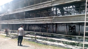 Kandang Ayam di Ciseeng Bogor Kebakaran, 150 Ribu Ekor Dilalap Api