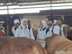 Lapak Kurban Tepi Jalan Wajib Berizin, Pemprov Jatim Terapkan SOP Ketat