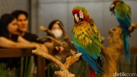 Melihat Pameran Bertema Kota Hewan 'Petropolis'