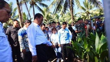 Berita dari Detik Finance: Mentan Sidak di Manado, Temukan Bibit Kelapa Tak Layak-Laporan Tidak Sesuai