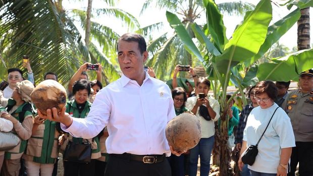 Menteri Pertanian (Mentan) Andi Amran Sulaiman melakukan inspeksi dadakan (sidak) di Desa Bengkol, Kecamatan Mapanget, Kota Manado, Jumat (1/5). Dalam sidak tersebut Amran menemukan bibit kelapa nan tidak layak.